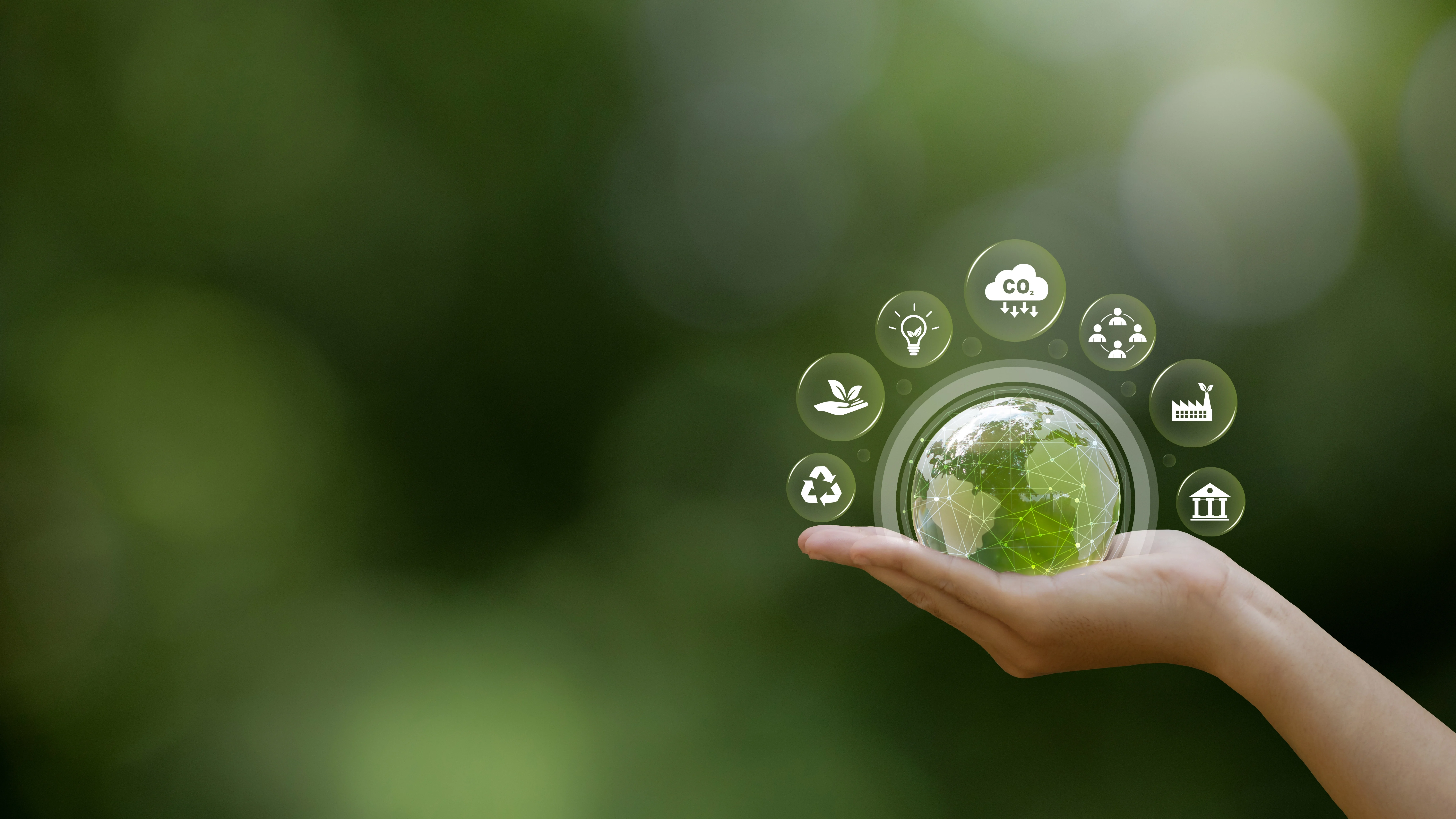Sustainable Development